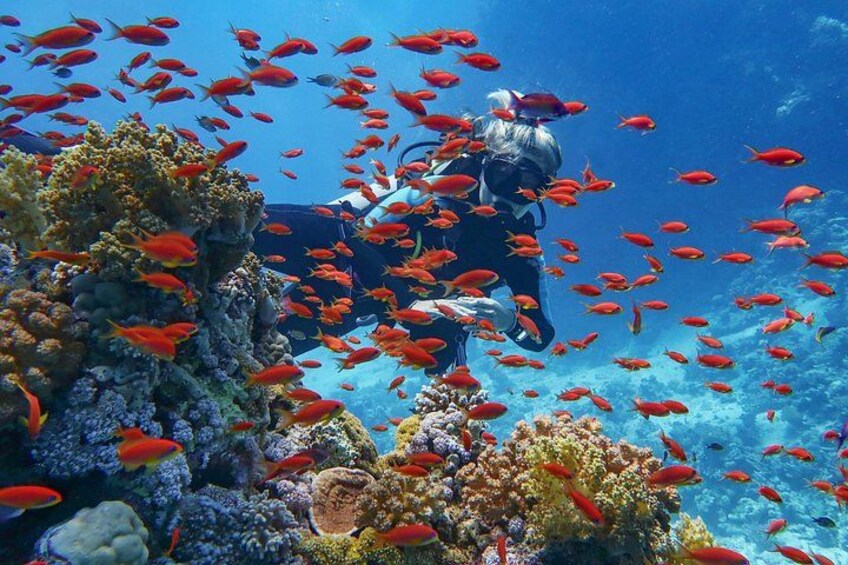 Sharm El Sheikh: Ras Mohammed & White Island Luxury Yacht Trip 3