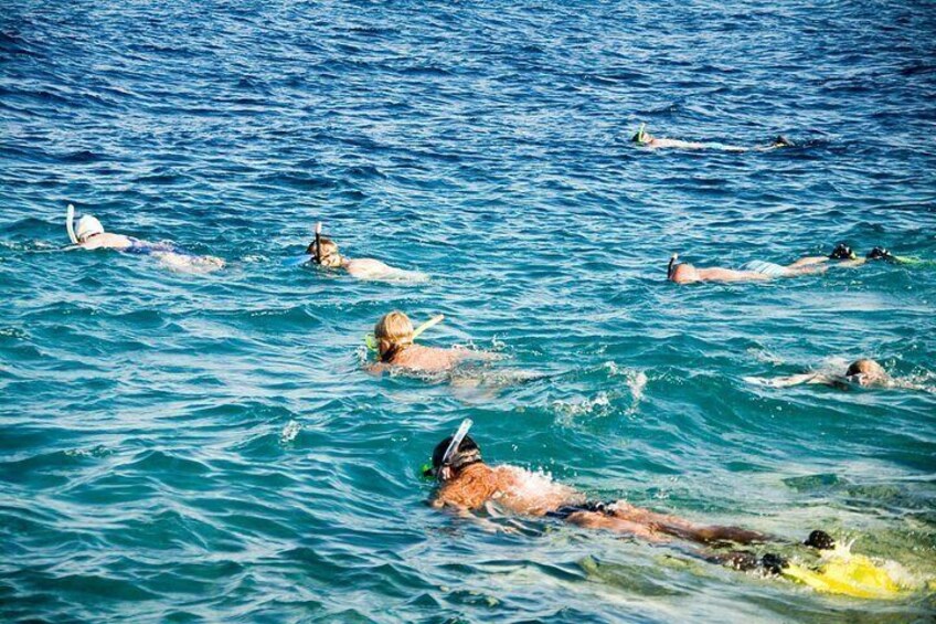 Des personnes qui nagent dans une étendue d'eau. 2