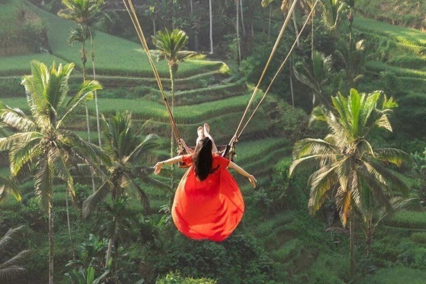 A person swinging on a rope swing over a lush green landscape with palm trees. 2