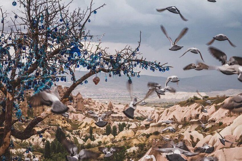 Un árbol con adornos azules, terreno rocoso y pájaros volando. 4