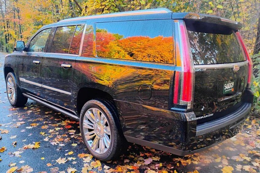 Ein schwarzer SUV auf einer von Laub bedeckten Straße, im Hintergrund Herbstlaub. 5
