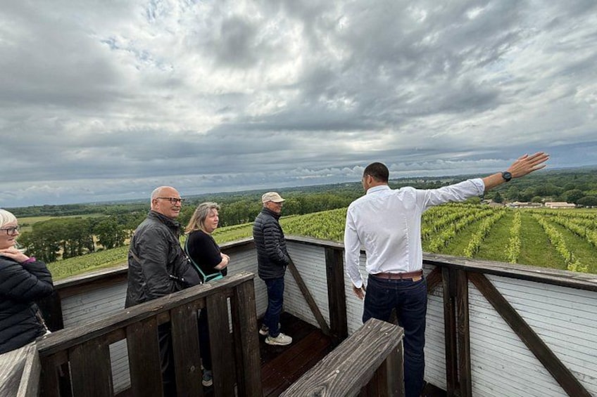 Un gruppo di persone su una passerella di legno con vista su un vigneto. 2