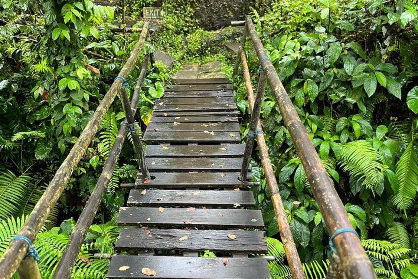 Un ponte sospeso in legno immerso in un lussureggiante verde. 3