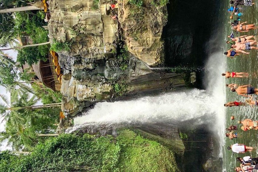 Una cascata impetuosa che scende da una scogliera rocciosa, circondata da vegetazione lussureggiante e palme. 4