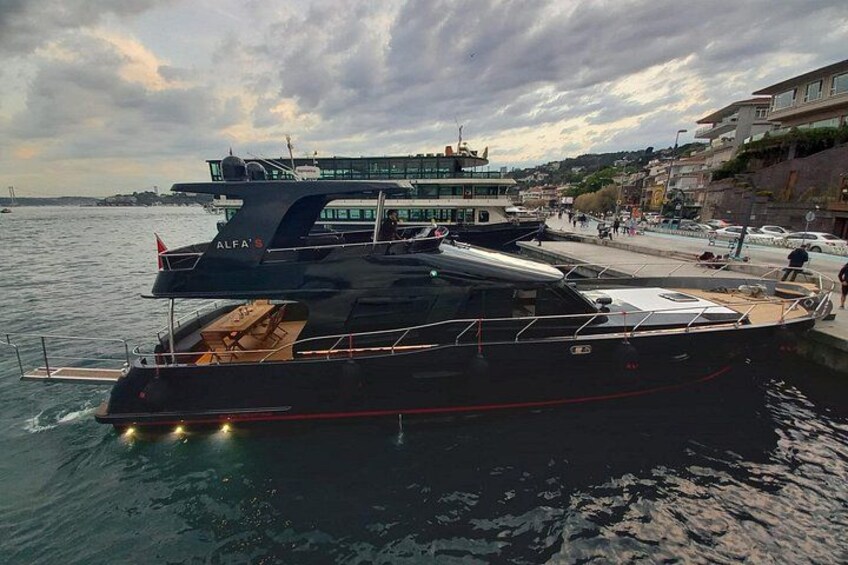 Private Bosphorus luxury yacht cruise with Istanbul skyline views 1