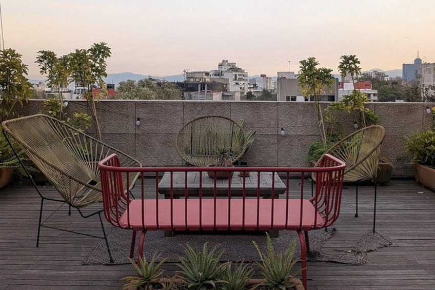 Craft Spirits Tasting on a Condesa Rooftop 2