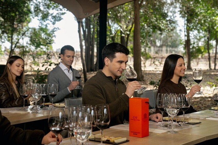 Private Transport from Santiago: Viña Concha y Toro Tour + Museum 5