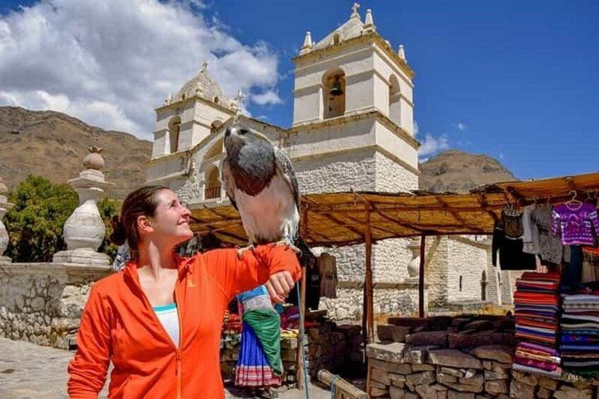 Full day at Colca Canyon from Arequipa 3