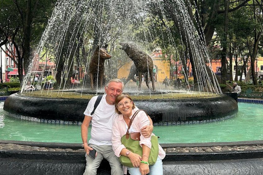 3-in-1 Tour: Frida Kahlo Museum, Coyoacan and Xochimilco Small Group 3