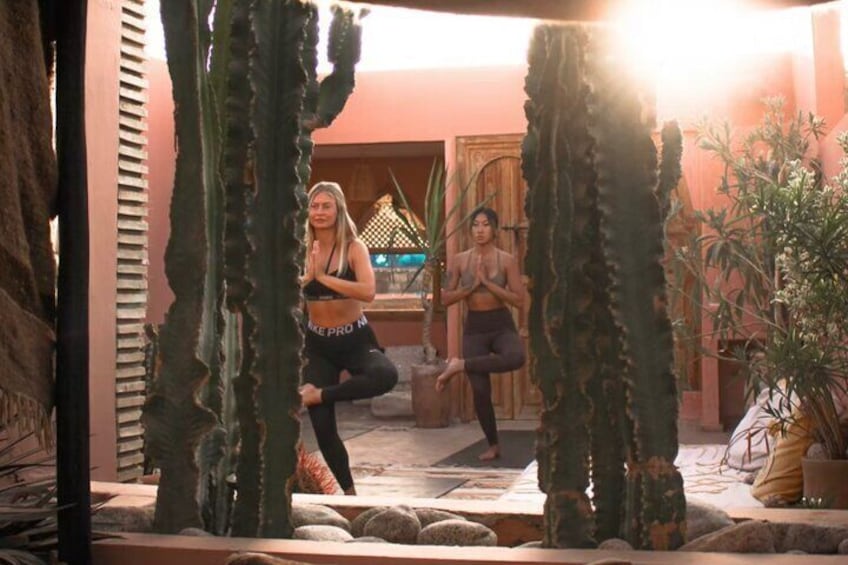 Zwei Personen üben Yoga in einem Innenhof mit Kakteen und einem Gebäude im Hintergrund. 5