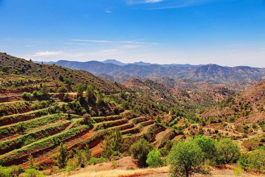 Private Shore Tour: Troodos Mountains & Omodos Village 4