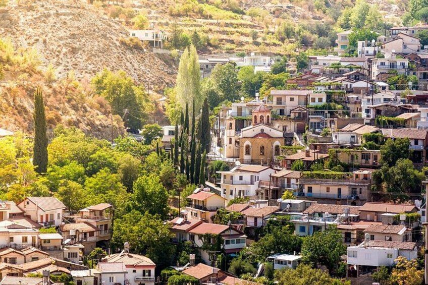 Private Shore Tour: Troodos Mountains & Omodos Village 1