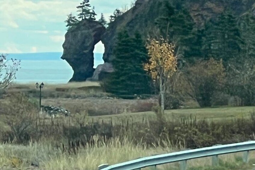 Bay of Fundy Shared Tour Adventure 3
