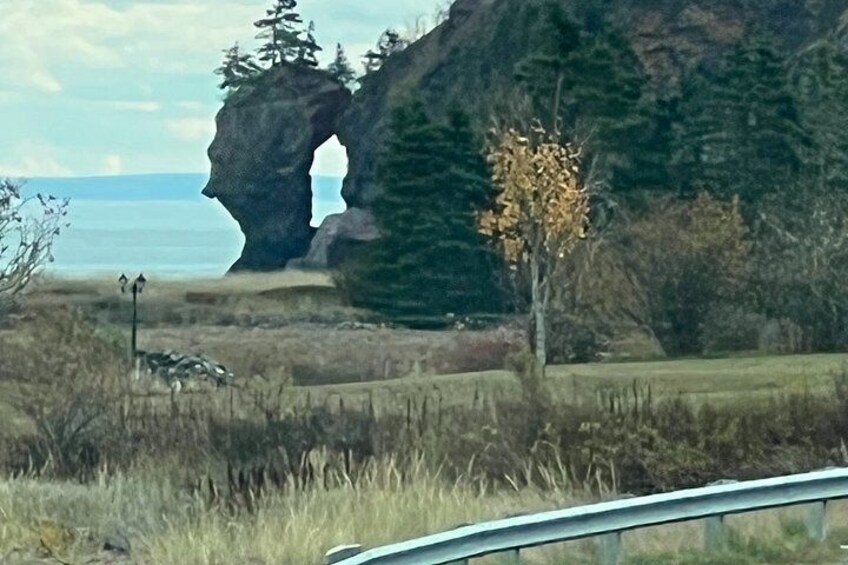 Bay of Fundy Shared Tour Adventure 4