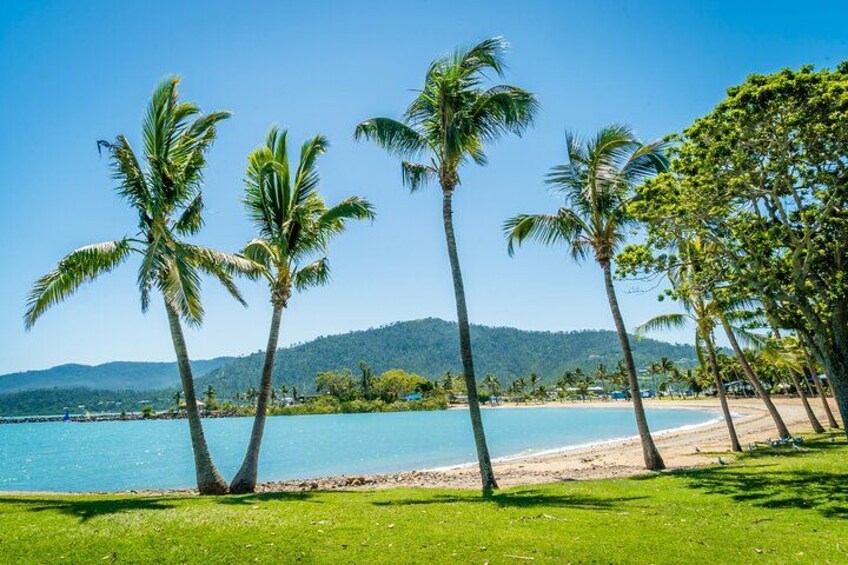 Airlie Beach Explorer Private Shore Tour 3