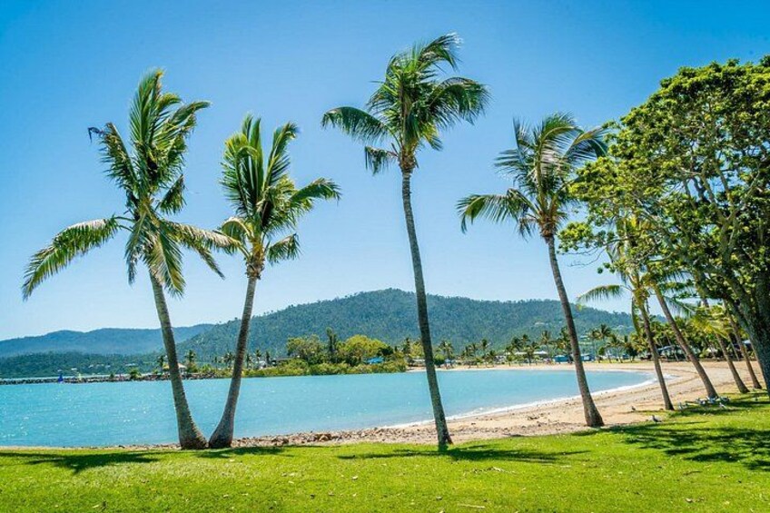 Airlie Beach Explorer Private Shore Tour 3