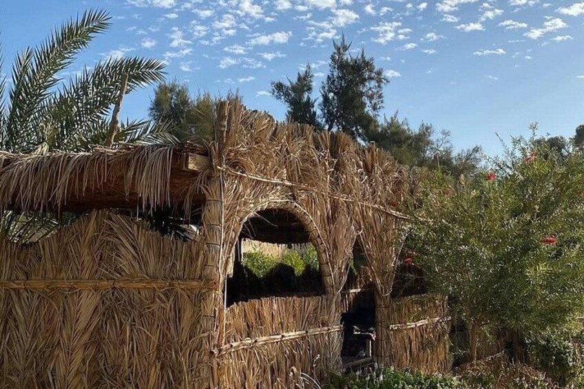 A straw hut with an arched entrance, surrounded by dry grass and trees. 3