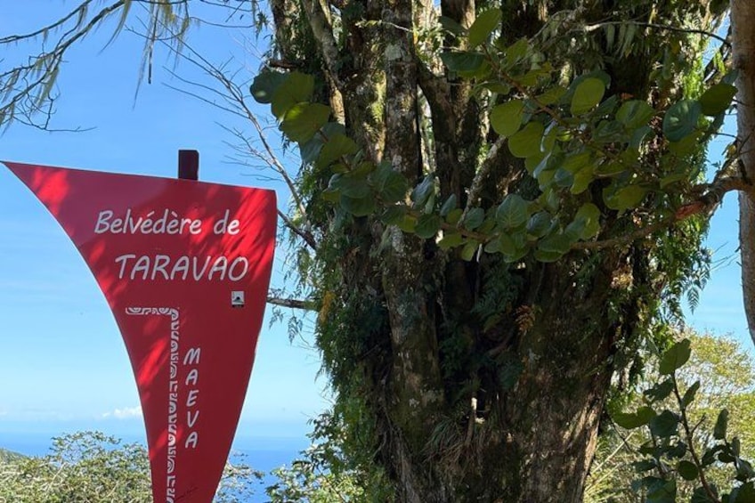 Una señal roja triangular con texto, rodeada de exuberante vegetación y un cielo despejado. 4