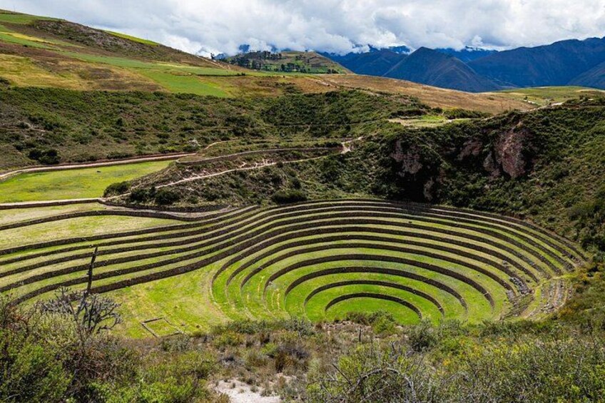 Campos de cultivo en terrazas, un camino serpenteante y montañas a lo lejos. 4