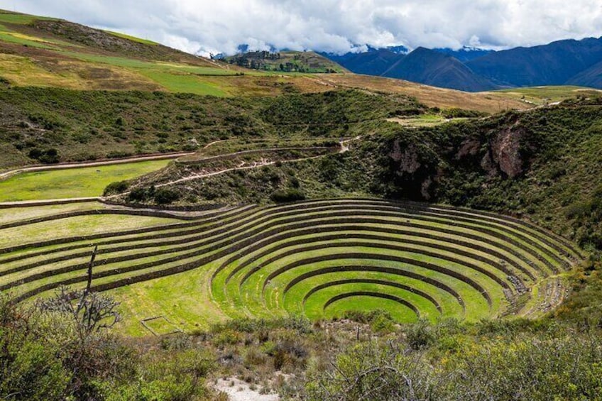 Des terrasses agricoles aménagées sur une colline, avec des montagnes en arrière-plan. 4