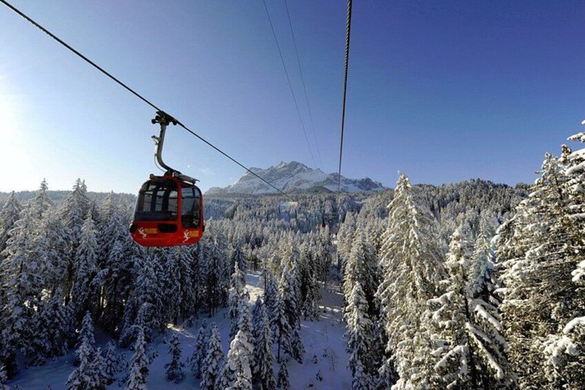 Un teleférico rojo suspendido sobre un bosque nevado con árboles cubiertos de nieve y montañas al fondo. 4