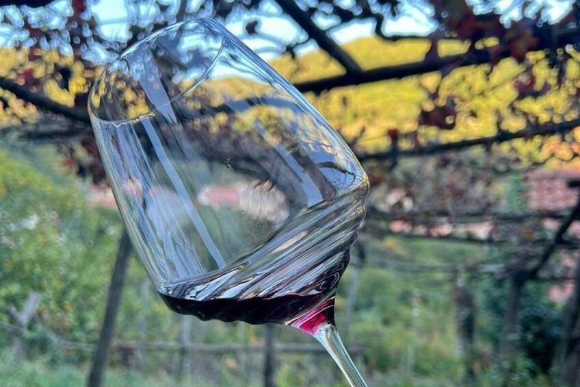 From Salerno: Amalfi Coast Private Tour with Lunch & Wine Pairing 1
