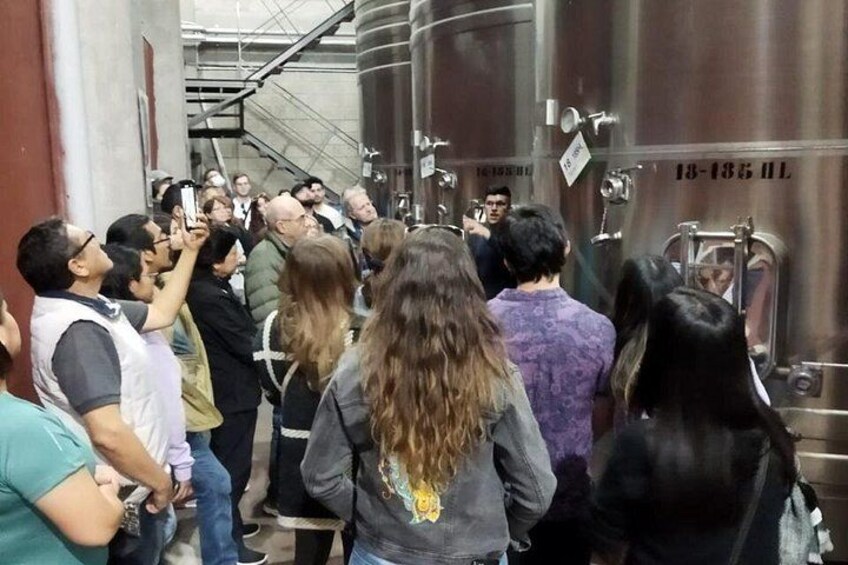 Villafañe winery 2