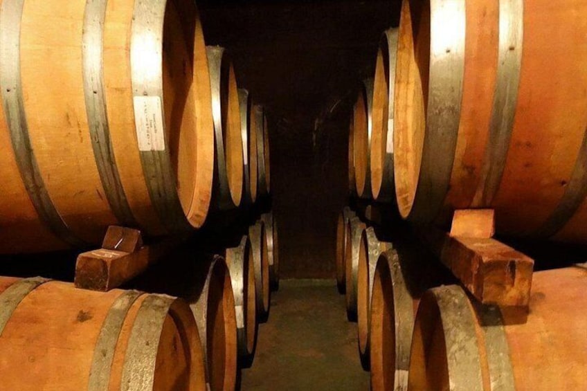 Winery Viñas del Cerno 5