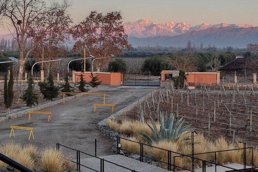 Vistandes Winery 2