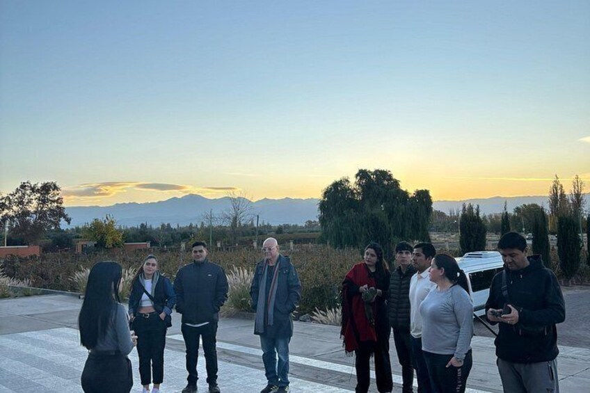 Vistandes Winery 3