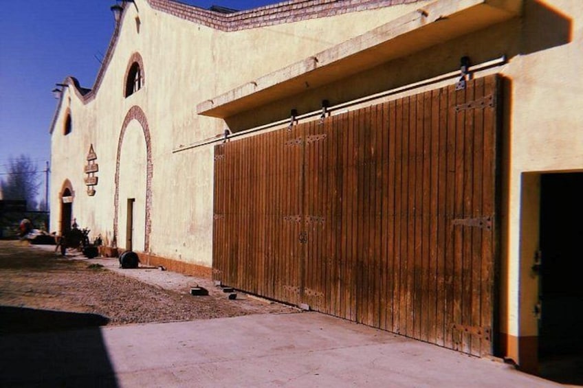 Cechin Winery 2