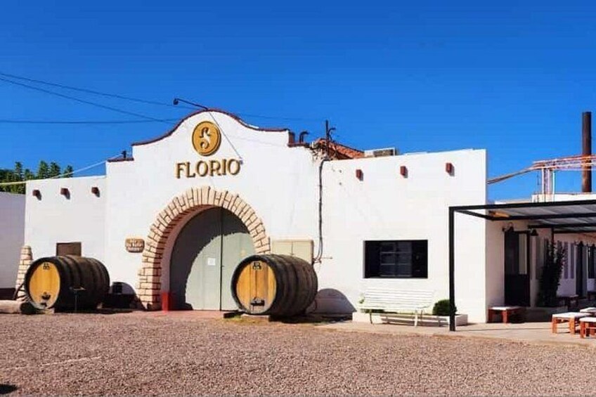 Florio Winery 4
