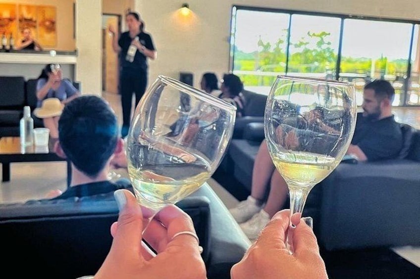 Vistandes Winery 1