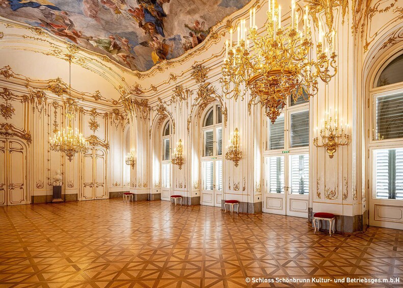Vienna: Skip the Line Schönbrunn Palace & Panoramic Train 5