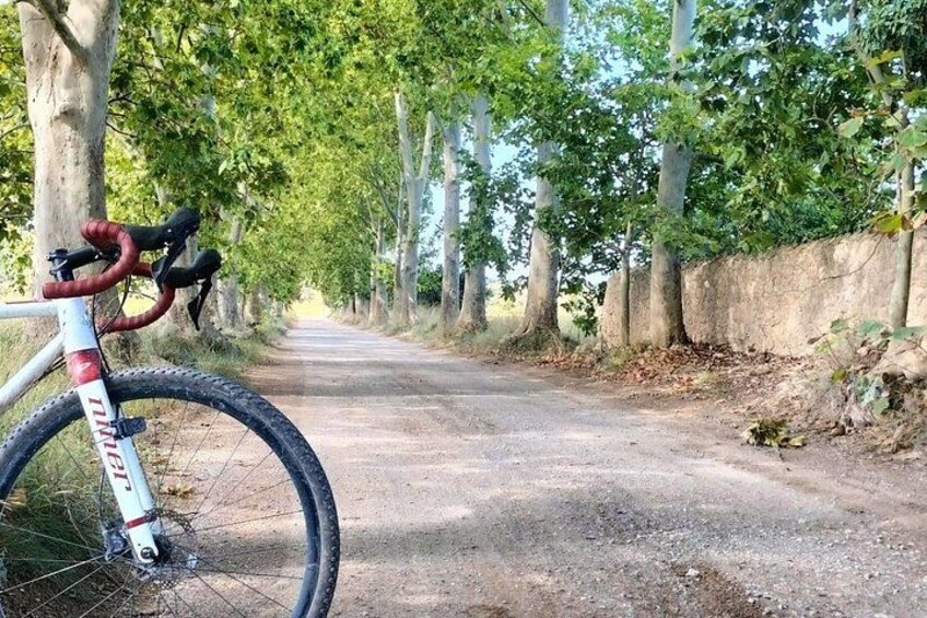 Girona Cycling Gravel Empordà 360o Cycling Adventure Immersion 5 3