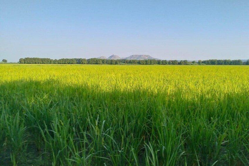 Girona Cycling Gravel Empordà 360o Cycling Adventure Immersion 5 4