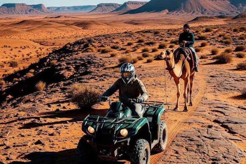 Un paysage désertique avec une personne conduisant un quad et un chameau. 3