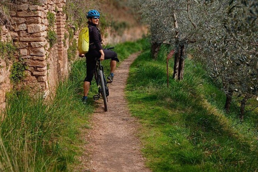 Assisi - Ebike tour to Spello and Bevagna 5