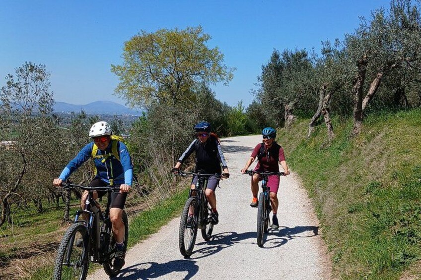 Assisi - Ebike tour to Spello and Bevagna 1