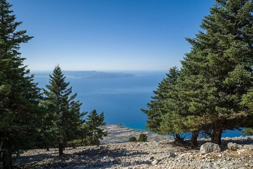 Kefalonia 4×4 Van Adventure Mount Ainos and Omala Valley Tour 2