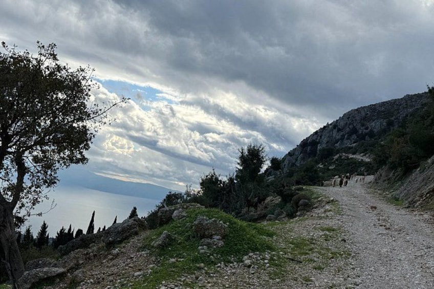 Kefalonia 4×4 Van Adventure Mount Ainos and Omala Valley Tour 5