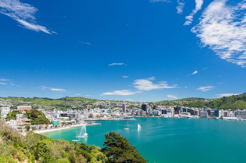 Wellington Highlights Half Day Private Shore Tour 1