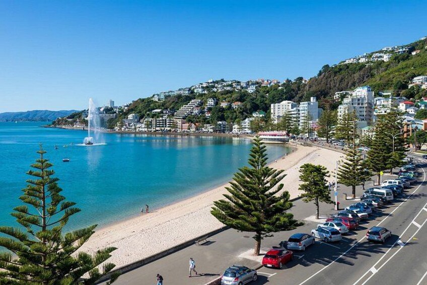 Wellington Highlights Half Day Private Shore Tour 2