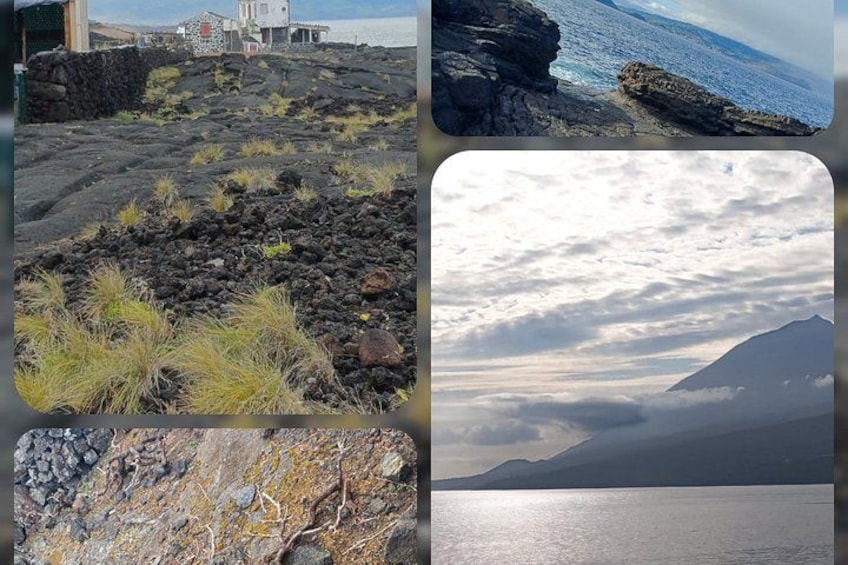 Pico Island: Your Private Half-Day Guided Experience 2