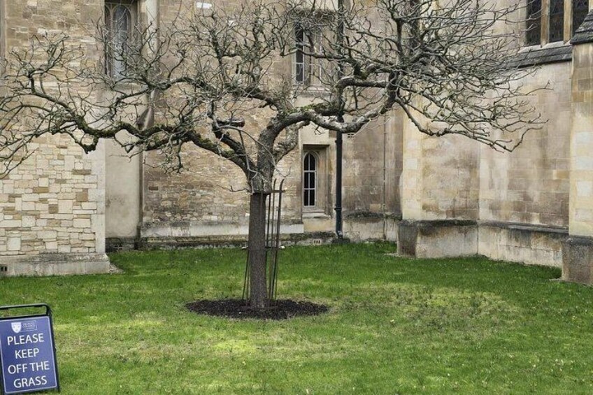 Explore Cambridge with Private Vehicle 2