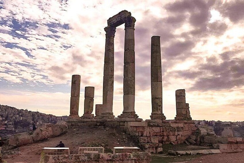 Jerash & Ajloun Castle Small Group Day Trip from Amman 2