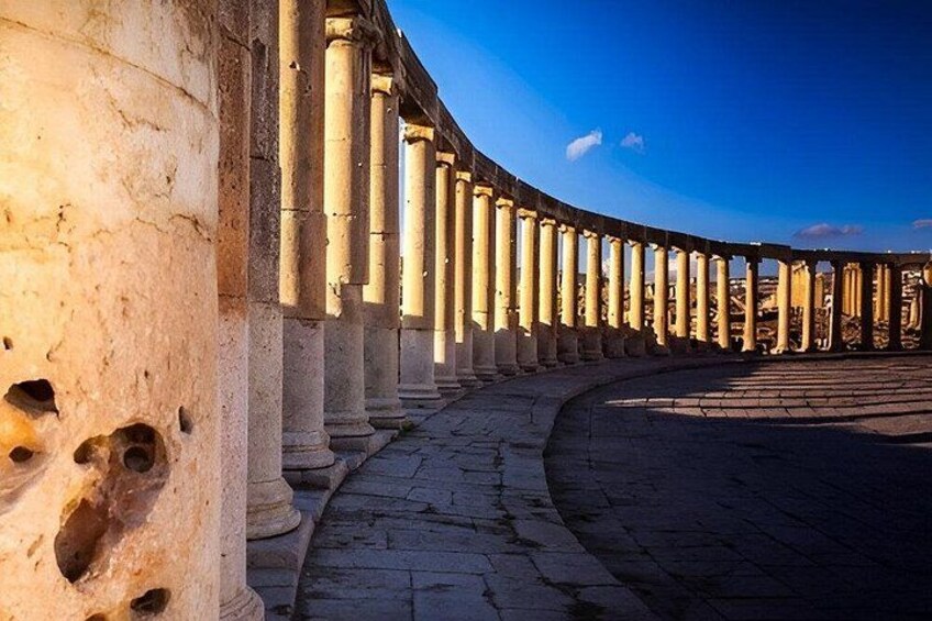 Jerash & Ajloun Castle Small Group Day Trip from Amman 4