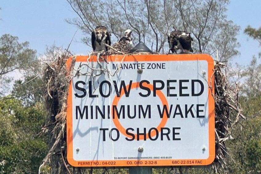 A sign with a slow speed warning and a minimum wake to shore notice. 2