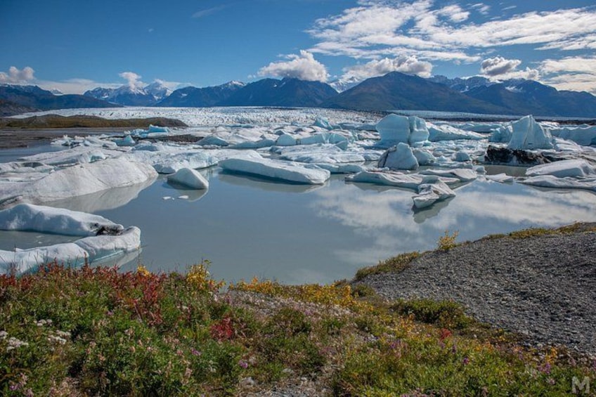 Ein Gletscher mit Eisbergen in einem See, dahinter Berge und im Vordergrund etwas Vegetation. 1