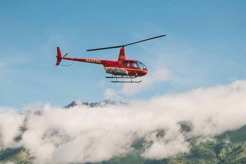 Scenic Helicopter Flight-60 Minutes-Anchorage Area 4